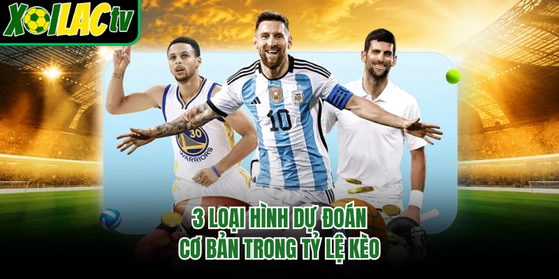 3 loại hình dự đoán cơ bản trong tỷ lệ kèo