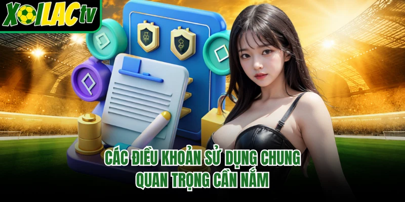 Các điều khoản sử dụng chung quan trọng cần nắm