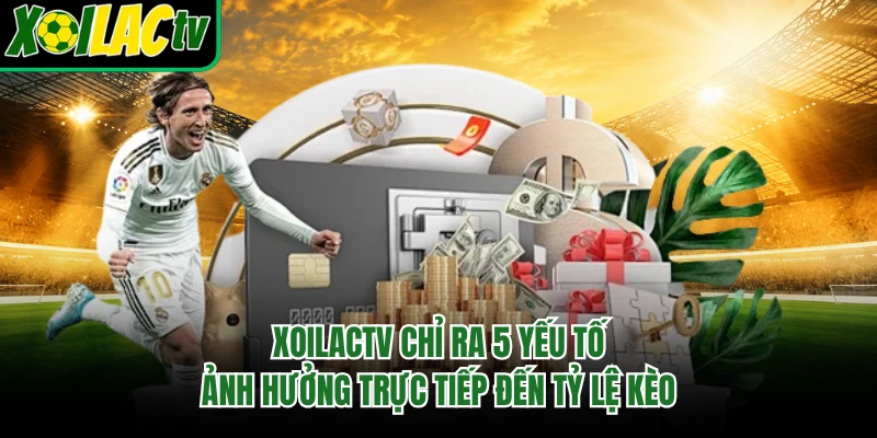 xoilactv chỉ ra 5 yếu tố ảnh hưởng trực tiếp đến tỷ lệ kèo